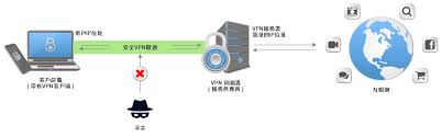 实拍：懒熊护崽与老虎对峙缠斗